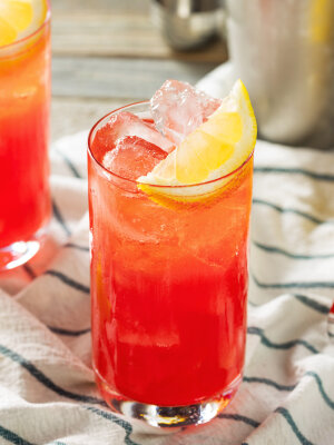 Sloe Gin Fizz drink-recept